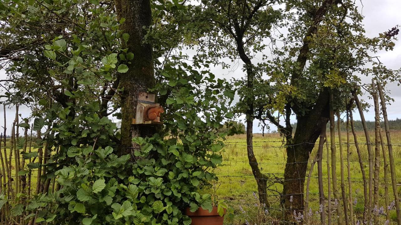 Cosy Cottage On The Causeway Coast And Glens Ballycastle Eksteriør billede